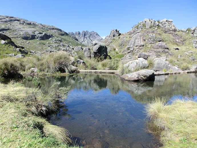 Parque Nacional do Itatiaia - Macio do Itatiaia - Serra da Mantiqueira - Estado do Rio de Janeiro - Regio Sudeste - Brasil