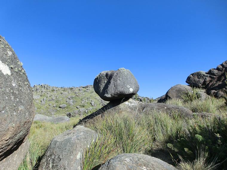 Parque Nacional do Itatiaia - Macio do Itatiaia - Serra da Mantiqueira - Estado do Rio de Janeiro - Regio Sudeste - Brasil