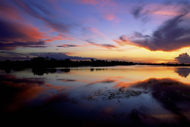 Parque Nacional do Ja faz parte do complexo de conservao da Amaznia Central - Novo Airo - Barcelos - Regio Norte - Brasil