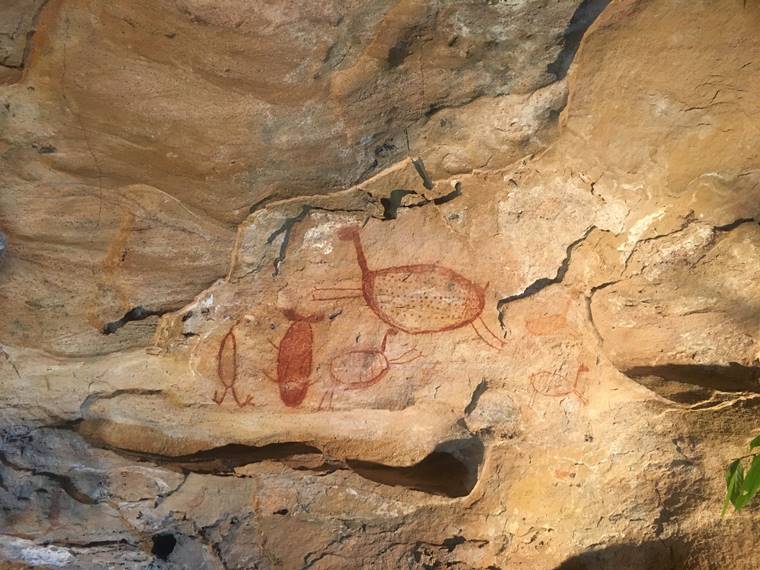 Inscries rupestres - Parque Nacional Serra da Capivara - Estado do Piau - Regio Nordeste - Brasil