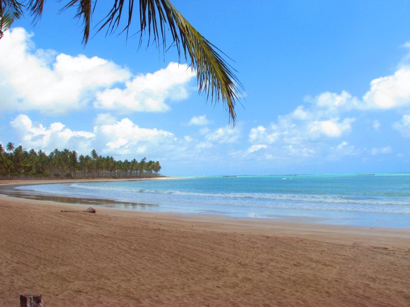 Barra de Camaragibe - Passo de Camaragibe - Estado de Alagoas - Litoral Alagoano - Regio Nordeste - Brasil