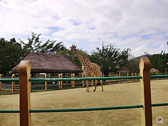 Parque Beto Carrero World - Regio Sul - Santa Catarina - Brasil