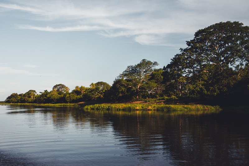 Pantanal - Pocon - Estado de Mato Grosso - Regio Centro-Oeste - Brasil