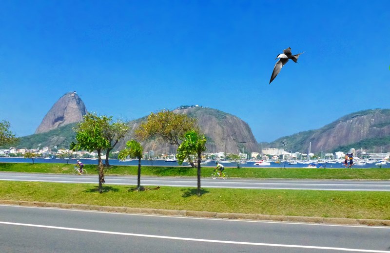 Aterro do Flamengo - Rio de Janeiro - Regio Sudeste - Brasil