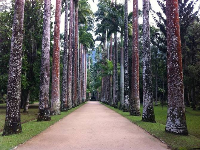 Jardim Botnico do Rio de Janeiro - Estado do Rio de Janeiro - Regio Sudeste - Brasil