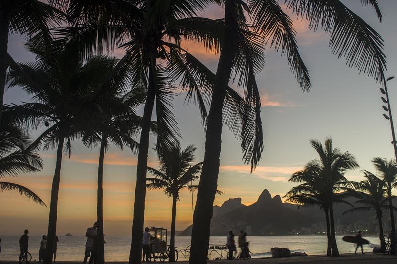 Coqueiros - Praia de Ipanema - Cidade do Rio de Janeiro - Rio de Janeiro - Regio Sudeste - Brasil