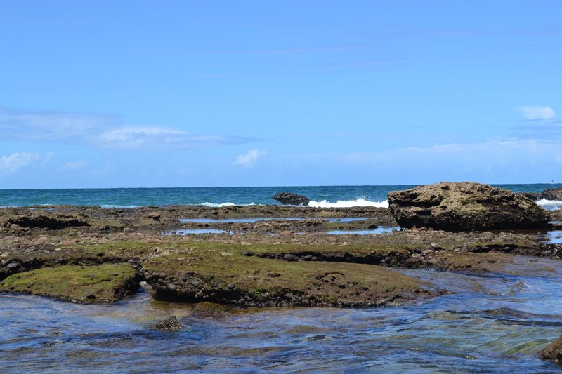 Salvador - Estado da Bahia - Regio Nordeste - Brasil