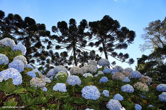 Jardins dos Pinhais Ecco Parque - Santo Antnio do Pinhal - So Paulo - Regio Sudeste - Brasil