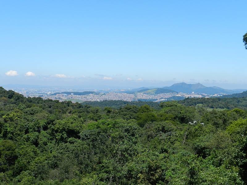 Parque Estadual Cantareira - Ncleo Pedra Grande - Regio Sudeste - Estado de So Paulo - Brasil