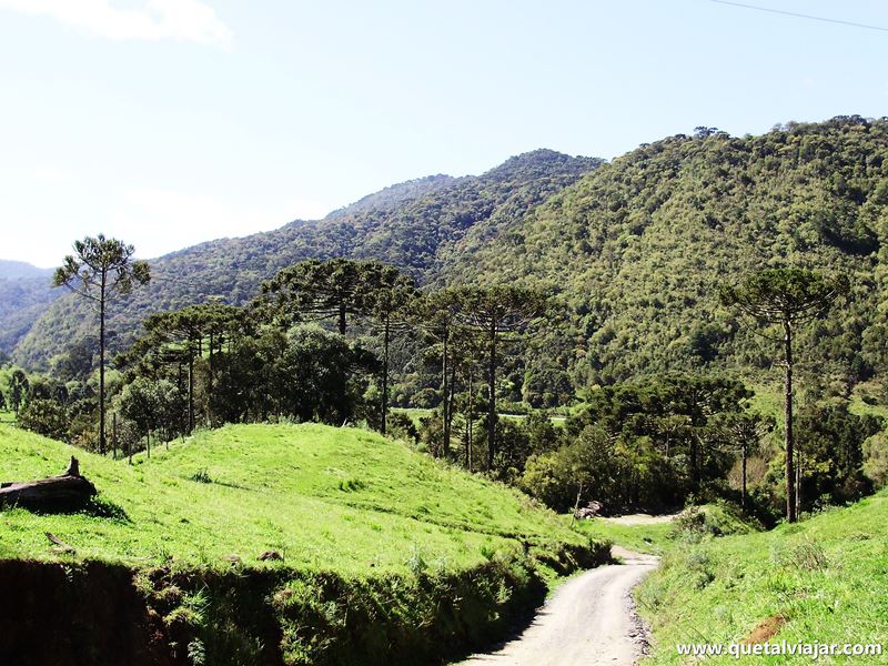 Urubici - Serra Catarinense - Estado de Santa Catarina - Regio Sul - Brasil