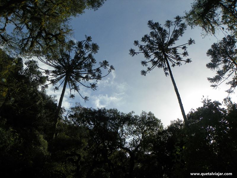 Urubici - Serra Catarinense - Santa Catarina - Regio Sul - Brasil