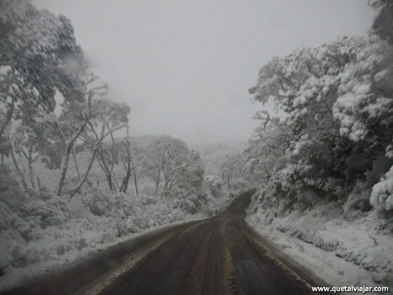 Neve em Urubici - Neve no Morro da Igreja - Serra Catarinense - Santa Catarina - Regio Sul - Brasil