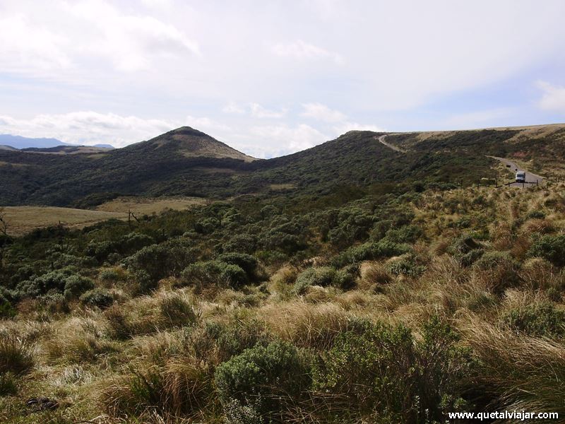 Parque Nacional de So Joaquim - Urubici - Serra Catarinense - Santa Catarina - Regio Sul - Brasil