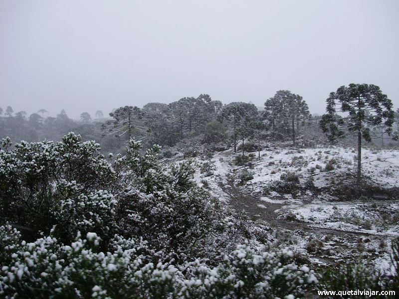 Neve em Urubici - Neve no Morro da Igreja - Serra Catarinense - Santa Catarina - Regio Sul - Brasil