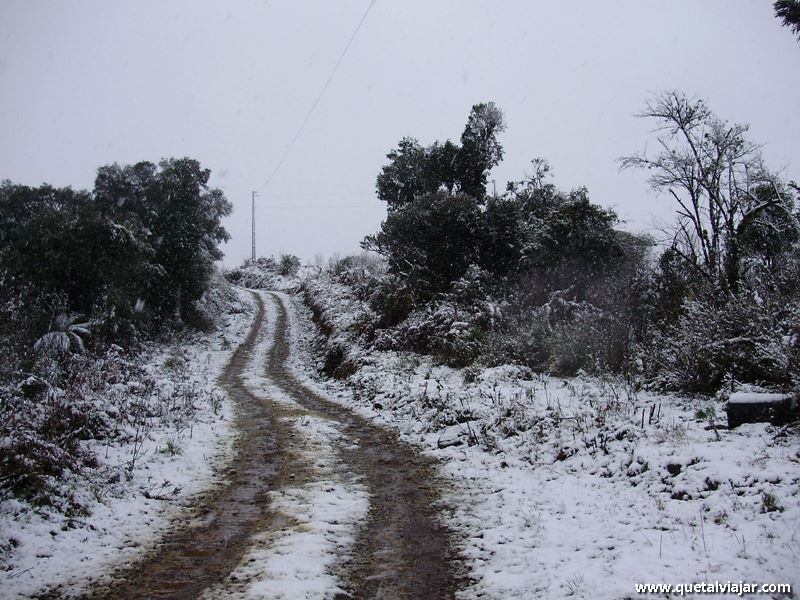 Neve em Urubici - Neve no Morro da Igreja - Serra Catarinense - Santa Catarina - Regio Sul - Brasil