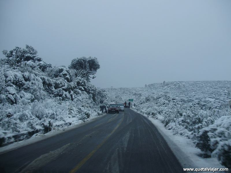 Neve em Urubici - Neve no Morro da Igreja - Serra Catarinense - Santa Catarina - Regio Sul - Brasil