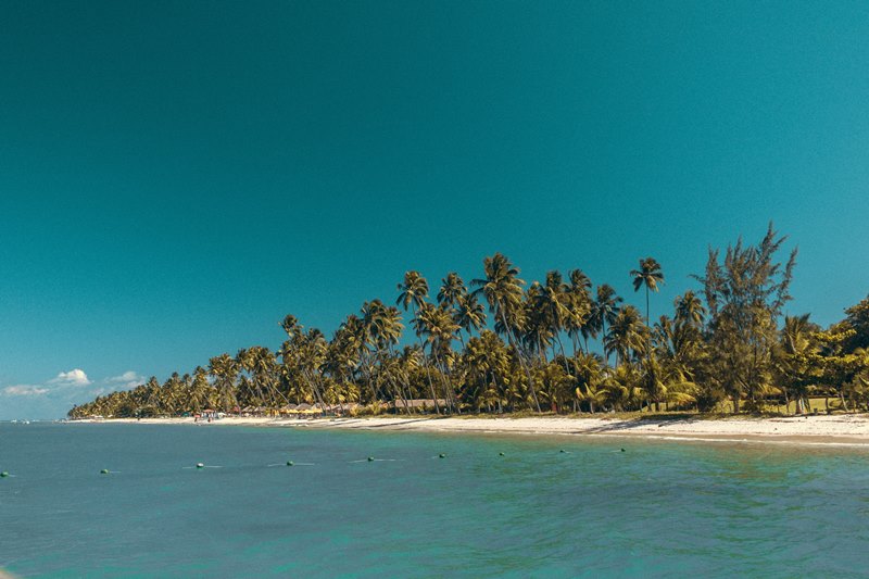 Praia dos Carneiros - Tamandar - Estado de Pernambuco - Regio Nordeste - Brasil