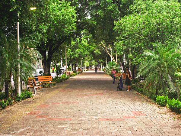 Viajar no feriado de Carnaval para a cidade de Teresina - Estado do Piau - Carnaval 2026 em Teresina