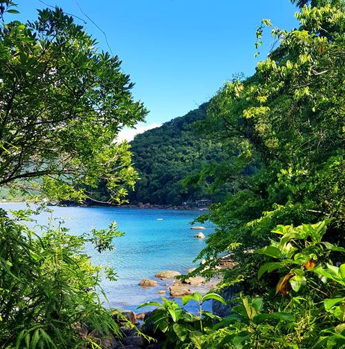 Praia da Fortaleza - Ubatuba - Litoral Norte de So Paulo - Costa Verde - Regio Sudeste - Brasil