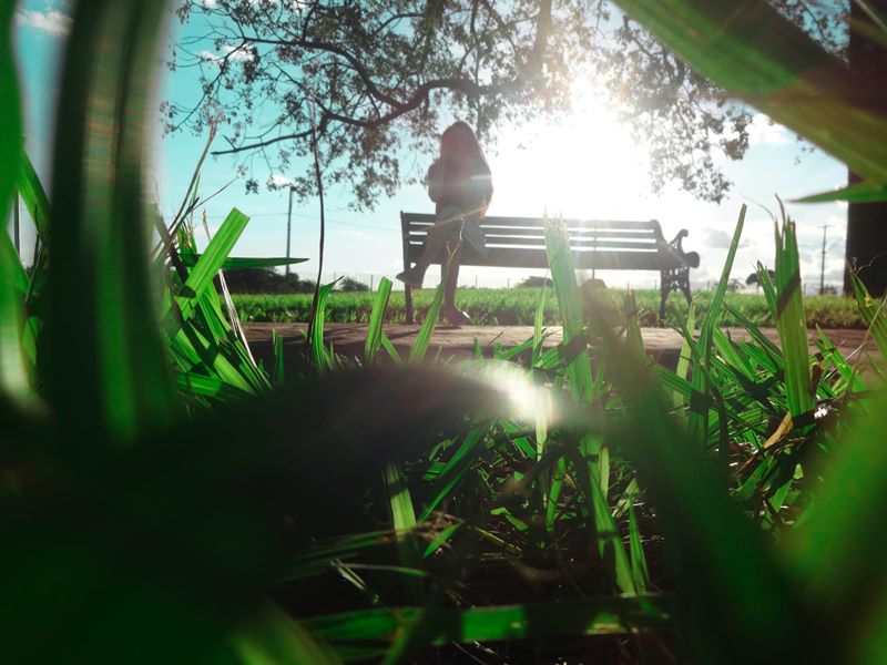 Parque das Barrigudas - Uberaba - Estado de Minas Gerais - Regio Sudeste - Brasil