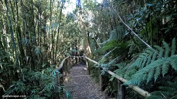 Urupema - Serra Catarinense - Estado de Santa Catarina - Regio Sul - Brasil