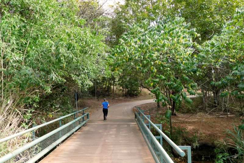 O Parque Ecolgico e de Uso Mltiplo Olhos D'gua tem trilhas, pistas de cooper, parque infantil, quiosques, bancos e cadeiras para banho de sol, entre outros. Foto: Patricia dos Santos.