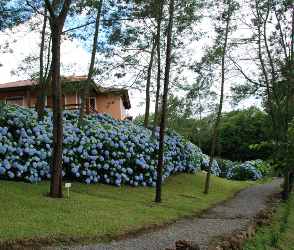 Bangals da Serra - Gramado - Serra Gacha - Estado do Rio Grande do Sul - Regio Sul - Brasil