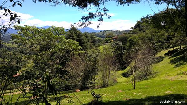 Jardim Suspenso da Babilnia - Santo Antnio do Pinhal - Estado de So Paulo - Regio Sudeste - Brasil