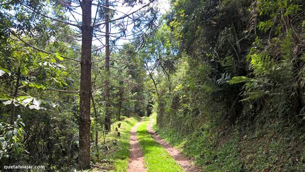 Jardim Suspenso da Babilnia - Santo Antnio do Pinhal - Estado de So Paulo - Regio Sudeste - Brasil