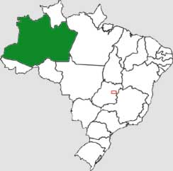 Mapa do Amazonas