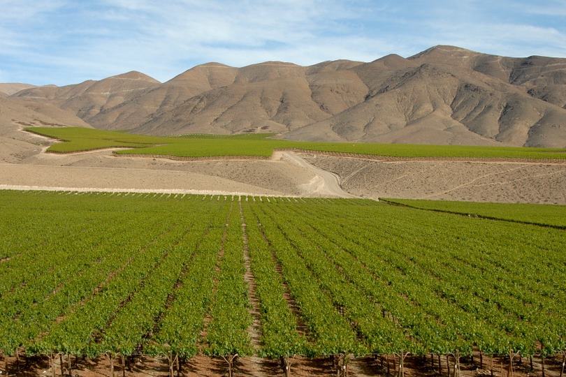 Mais de 180 vincolas, alm de hotis, restaurantes, fontes termais e museus esto includos no roteiro da rota de vinho mais longa do mundo'.