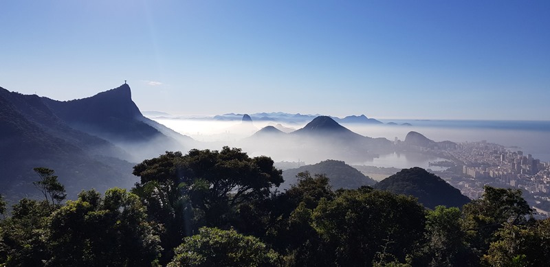 Parque Nacional da Tijuca - Rio de Janeiro - Regio Sudeste - Brasil