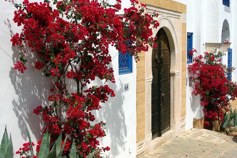 A arquitetura da Tunsia  um dos atrativos aos que visitam o pas.